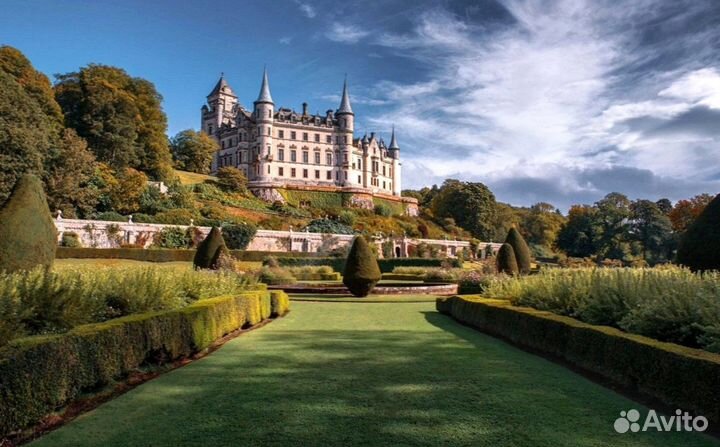 Укладка рулонного газона под ключ, производитель