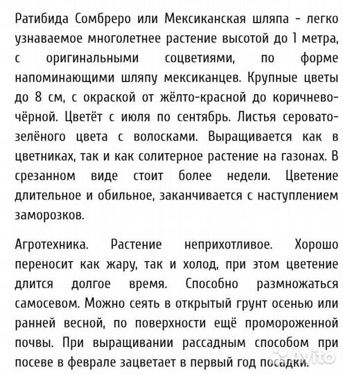 Ратибада многолетняя семена