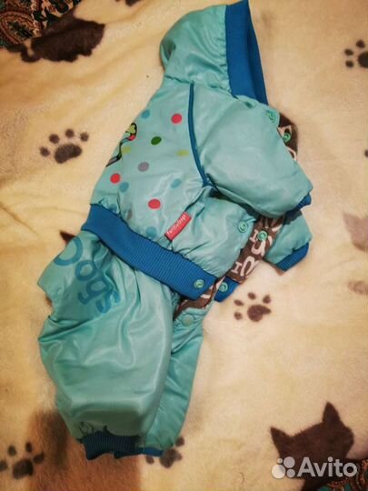 Одежда для маленьких собак бу