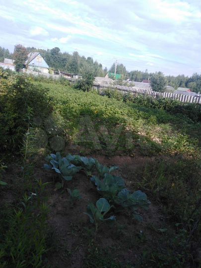 Участок 8 сот. (СНТ, ДНП)