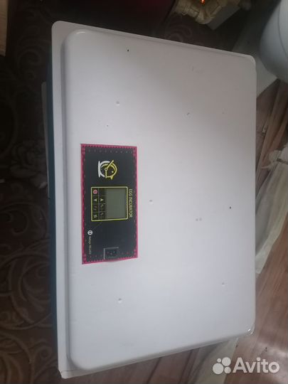 Инкубатор для яиц автоматический