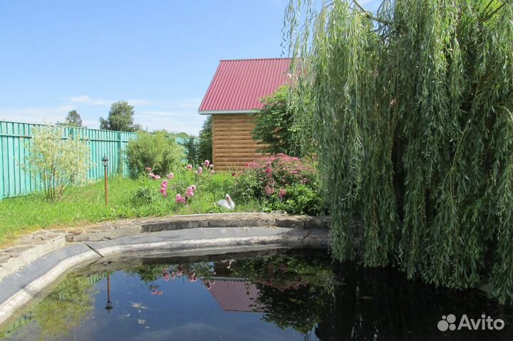 Ива плакучая саженцы