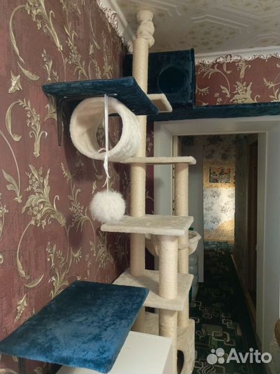 Кошкин дом когтеточка