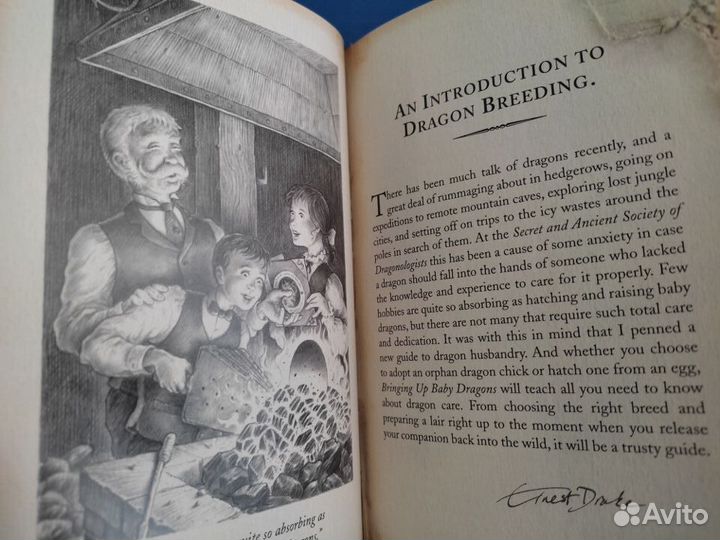 Bringing up baby dragons книга о драконах англ яз