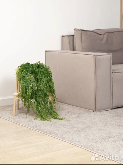 Ампельная зелень для декора свисающаяся