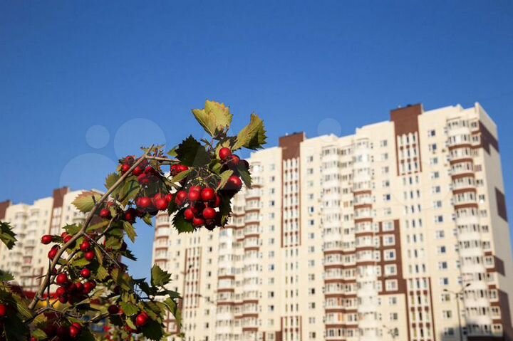 Квартира-студия, 25,7 м², 7/14 эт.