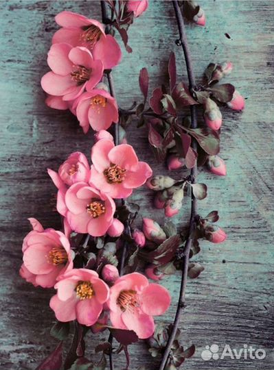 Набор 20*25, 40*50 алмазная вышивка