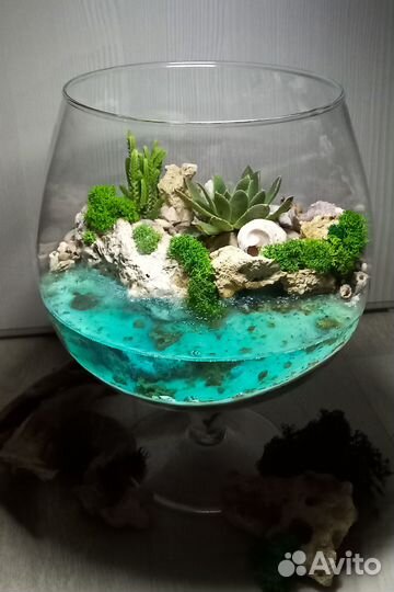 Флорариум с цветами в подарок