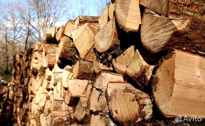 Кора березы