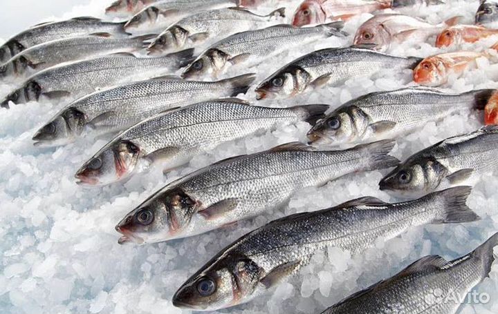 Готовый бизнес: магазин рыбы