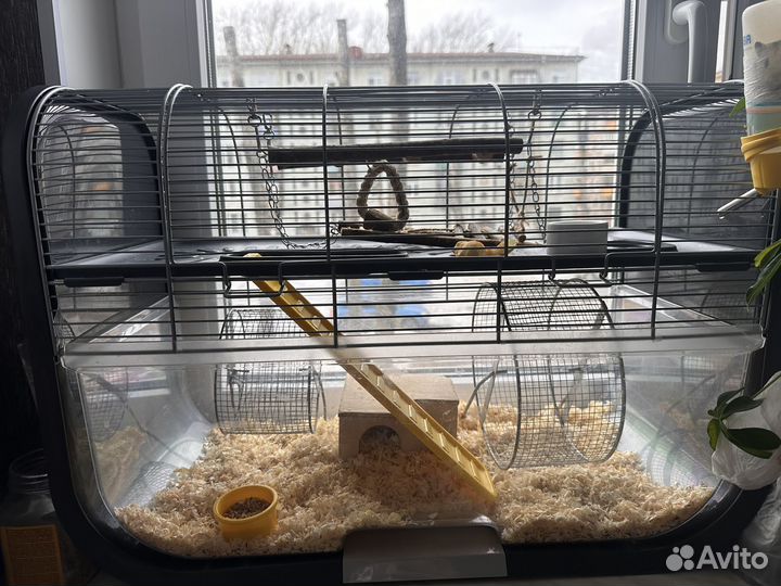 Клетка дюна savic с хомяками