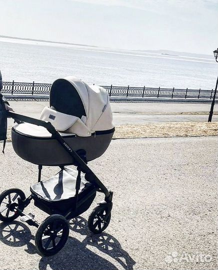 Коляска 2 в 1 riko ozon