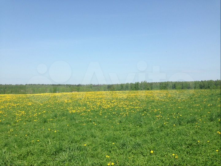 Участок 43 сот. (ИЖС)