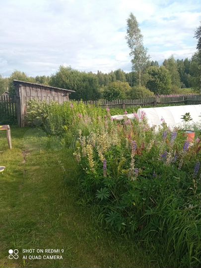 Дом 100 м² на участке 19 сот.