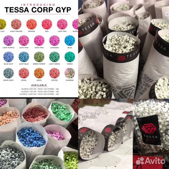 Гипсофила оптом