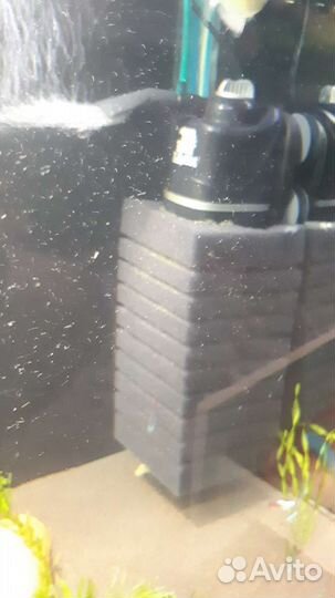 Аквариум jebo