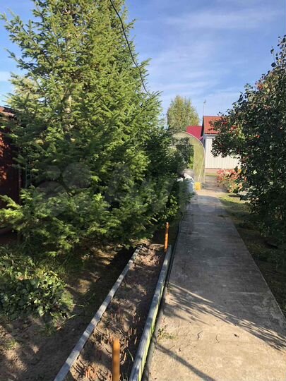 Дача 30 м² на участке 12 сот.