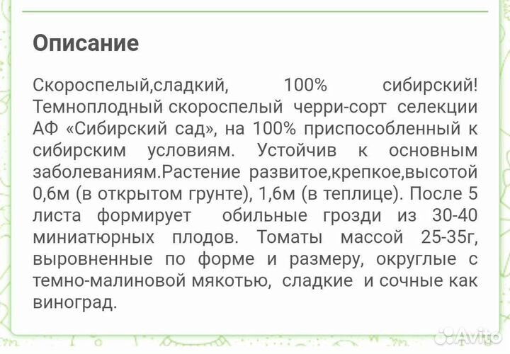 Рассада томата Черри шоколад