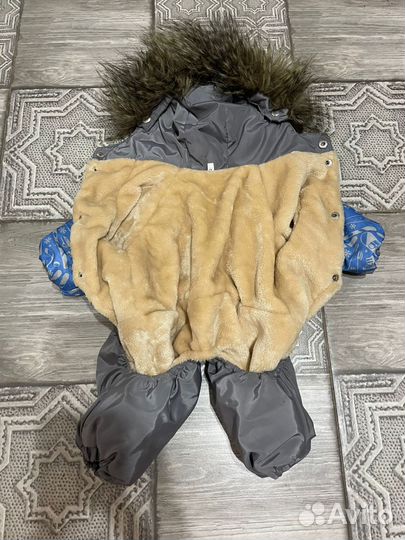 Комбинезон для маленькой собаки