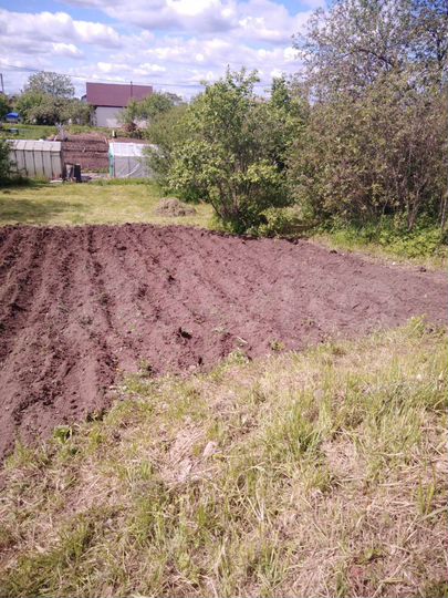 Участок 6 сот. (СНТ, ДНП)