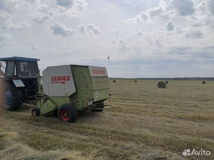 Продам сено в рулонах