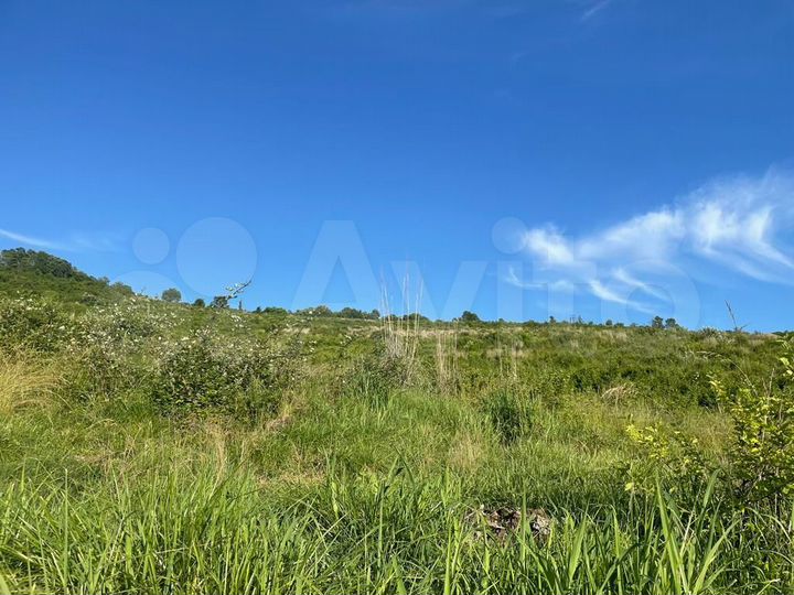 Участок 50 сот. (ИЖС)