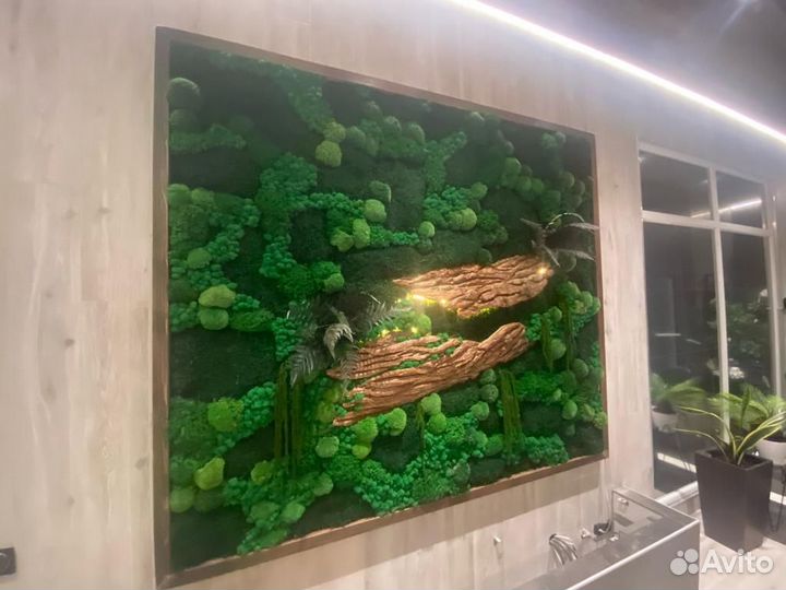 Фитокартина живая стена из мха