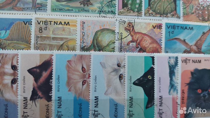 Марки. флора фауна. И другое