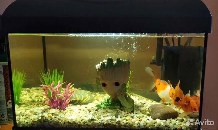 Декорация Грут