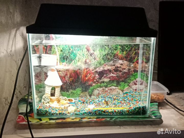 Аквариум с рыбками Под ключ