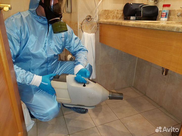 Уничтожение клопов, тараканов. Обработка участков