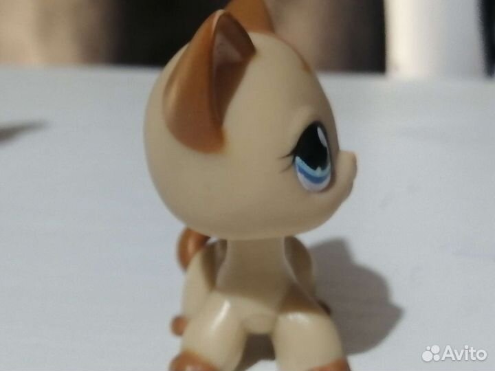 Лпс стоячки lps кошка такса колли собака кокер дог