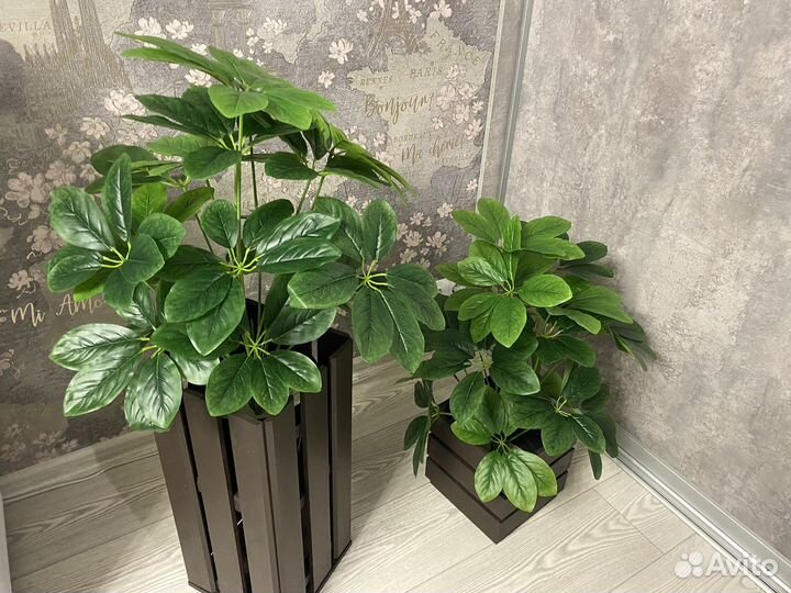 Искусственные растения Искусственная Шефлера