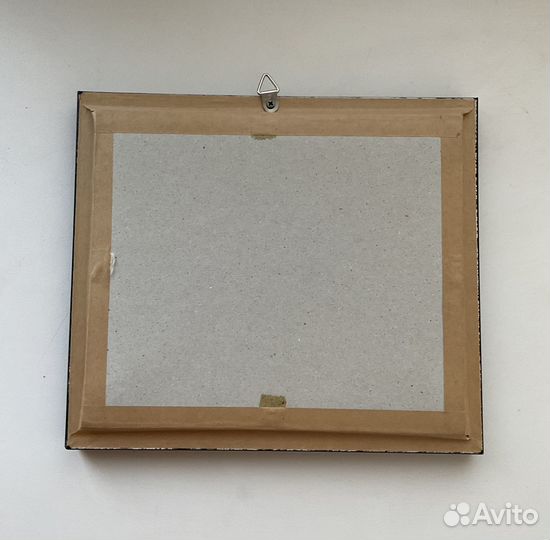 Бабочка в рамке Papilio blumei