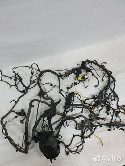 Проводка подкапотная Hyundai Solaris HCR G4FG 2018