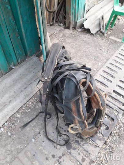 Хомут для лошади