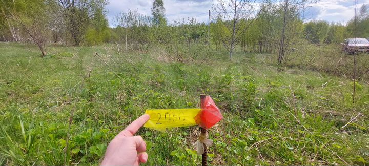 Участок 12,4 сот. (СНТ, ДНП)