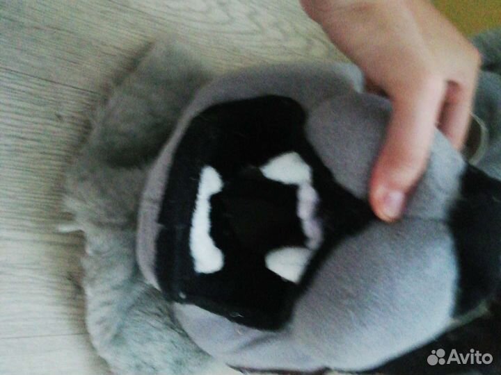 Фурсьют собаки/волка