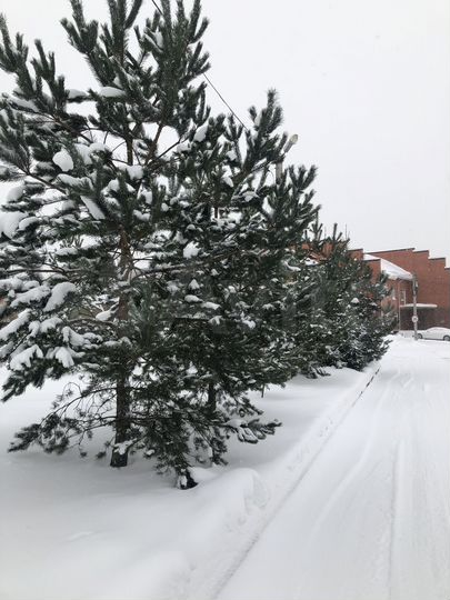 Таунхаус 138 м² на участке 2,4 сот.