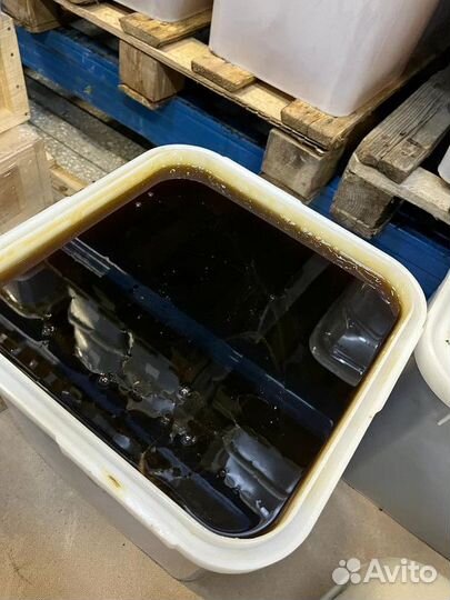 Мёд свежий гречишный опт