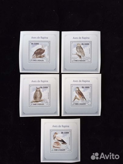 C. Tome e Principe фауна чистые