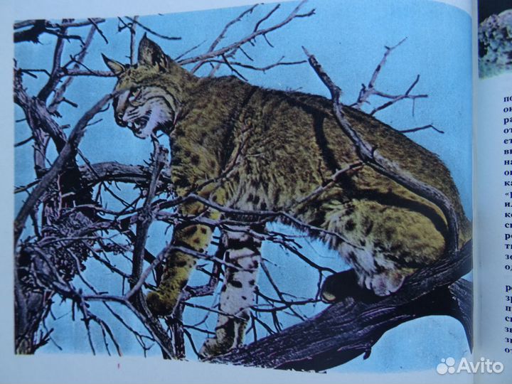 Литература по географии Путешествия