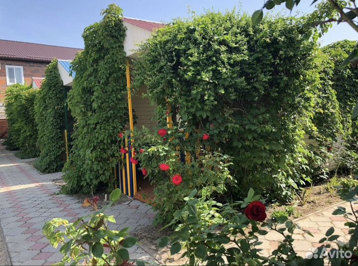 Готовый бизнес на море