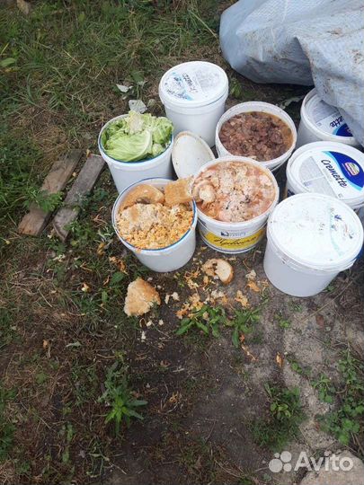 Пищевые отходы