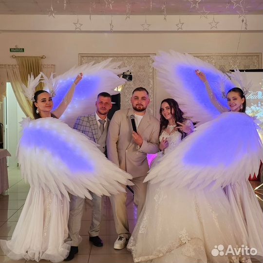 Ведущий, Тамада, Организатор мероприятий