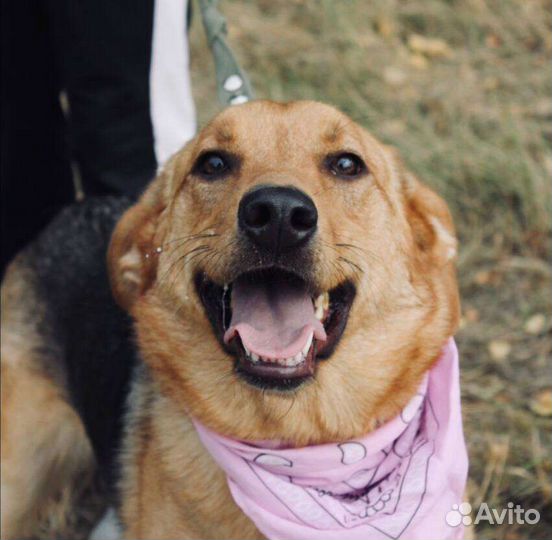 Красавица Баффи ждёт своего человека