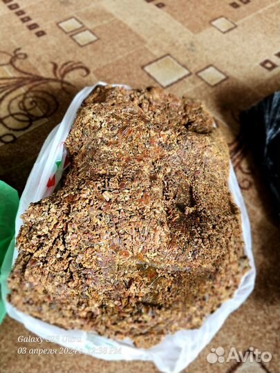 Прополис пчелиный