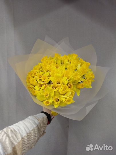 Букет из 51 желтого нарцисса
