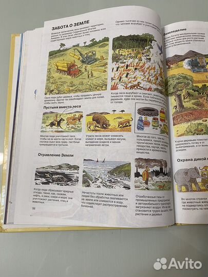 Энциклопедия для детей