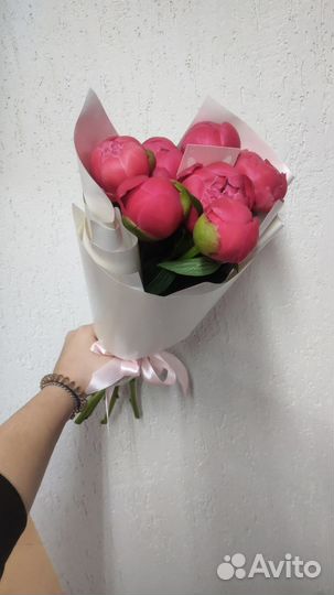 Итальянские пионы